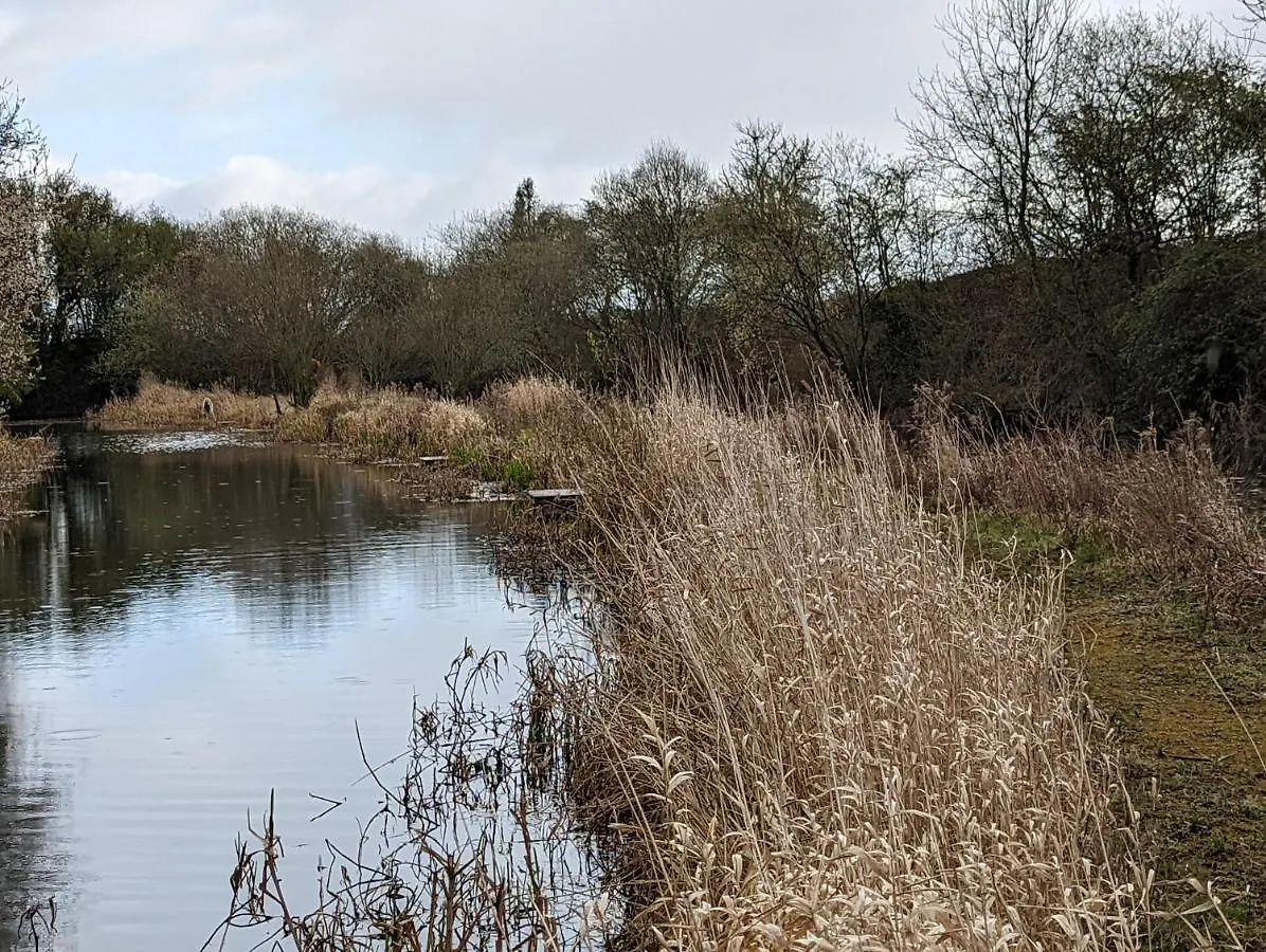 Peacock Lake Glamping Nottingham