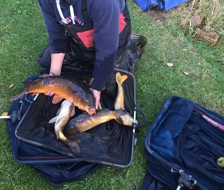Peacock Lake Glamping Nottingham