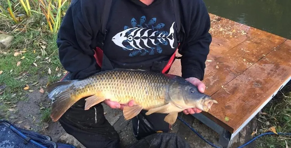 Peacock Lake Glamping Nottingham